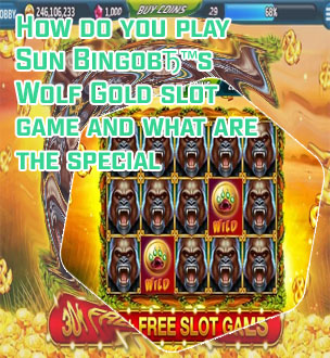 Sun bingo slots